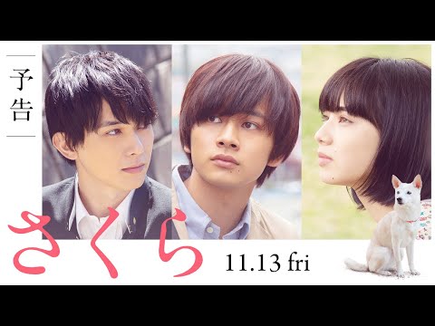 映画『さくら』予告（60秒）2020年11月13日（金）全国ロードショー