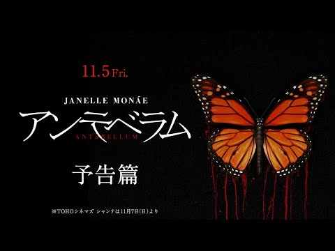 11/5（金）公開！『アンテベラム』予告篇