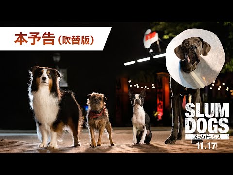 映画『スラムドッグス』本予告（吹替版）＜11月17日(金)公開＞