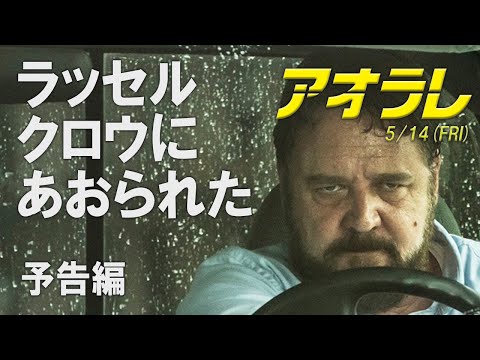 映画『アオラレ』予告編