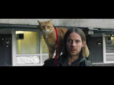#ボブという名の猫２ #ネコ #映画 『ボブという名の猫２　幸せのギフト』2022年2月25日（金）全国公開！世界中を希望と感動で包んだ【奇跡】の大ヒット猫映画、待望の続編！