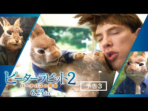 映画『ピーターラビット２／バーナバスの誘惑』予告３　6月25日 全国ロードショー