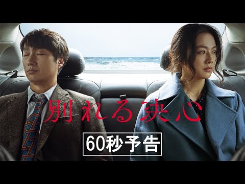 映画『別れる決心』予告編 2023/2/17(金)公開