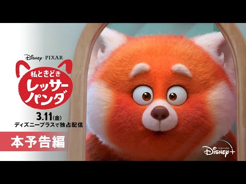 『私ときどきレッサーパンダ』｜本予告編｜Disney+ (ディズニープラス）